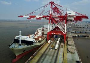 上海国际港口镇东集装箱码头的红白起重机和美森船